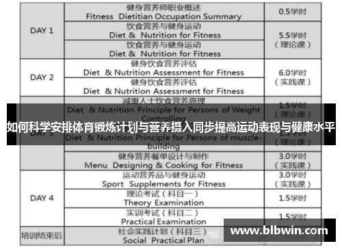 如何科学安排体育锻炼计划与营养摄入同步提高运动表现与健康水平